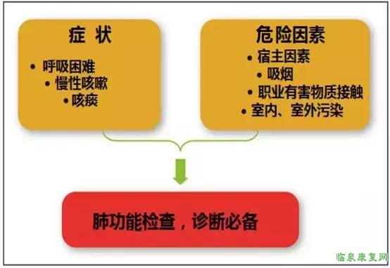 诊断COPD的路径图.jpg 诊断COPD的路径图.jpg
