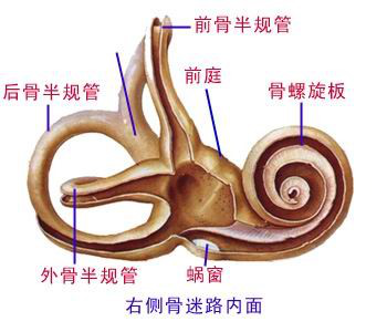 耳石症1.png 耳石症1.png